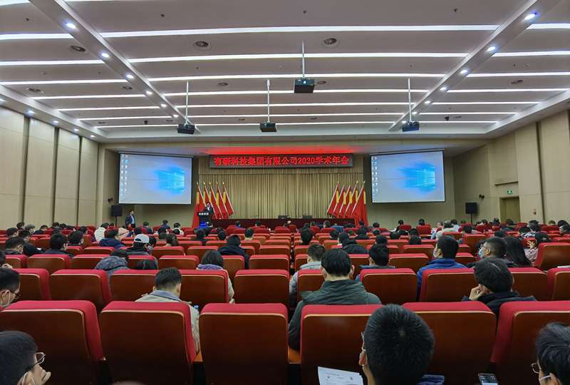有研集團(tuán)召開(kāi)2020年學(xué)術(shù)年會(huì)