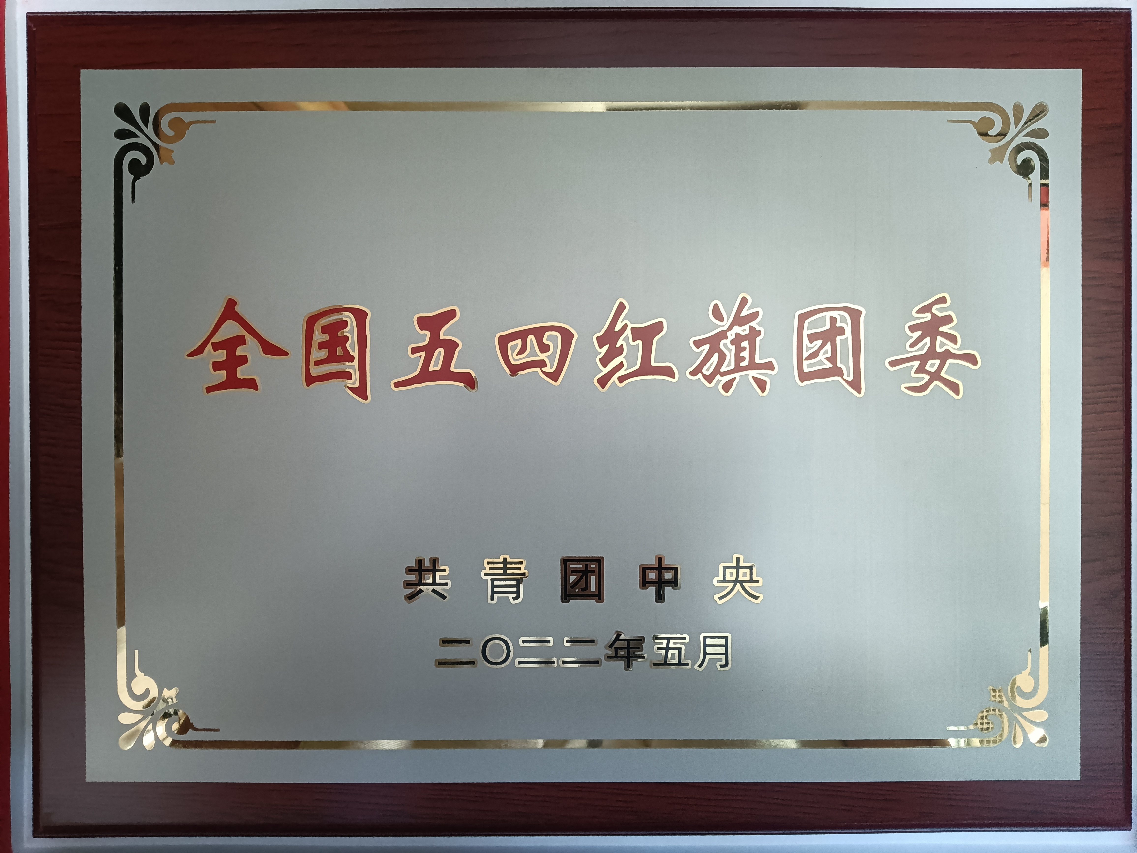 青春當(dāng)燃！2022，有研青年這樣走過(guò)