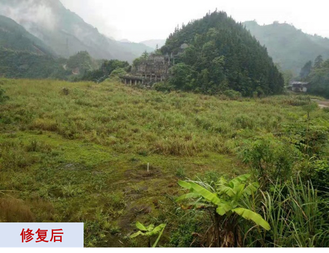 主題教育進(jìn)行時(shí) | “學(xué)思想、強(qiáng)黨性、重實(shí)踐、建新功”有研故事系列展播（十一）打造重金屬污染治理和生態(tài)環(huán)保的有研力量