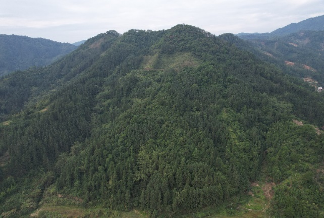 中國有研：深入踐行習近平生態(tài)文明思想，扎實開展主題教育助推美麗中國建設
