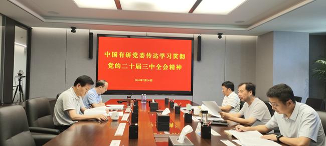 中國有研黨委傳達學(xué)習(xí)黨的二十屆三中全會精神