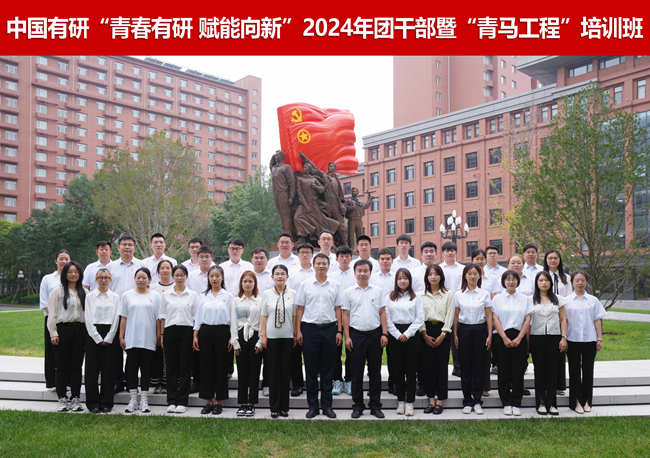 中國有研各級(jí)團(tuán)組織深入開展黨的二十屆三中全會(huì)精神“大學(xué)習(xí)”