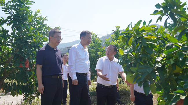 中國(guó)有研黨委書記、董事長(zhǎng)趙曉晨赴貴州思南調(diào)研集團(tuán)定點(diǎn)幫扶工作